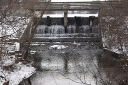 Dorchester Mill Pond