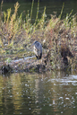 Brant Conservation Area