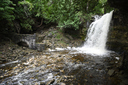 Hilton Falls