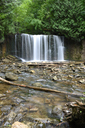 Hoggs Falls