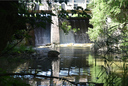 Brant Flour Mills Dam