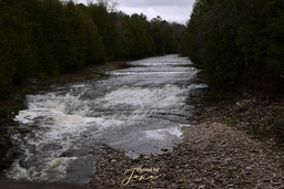 Stevrod Falls