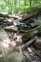 Lower Hopkins Cascade