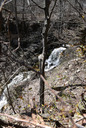Epping Falls