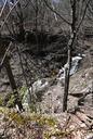 Epping Falls