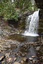 Hilton Falls