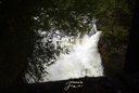 Hayward Falls