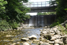 Holstein Dam