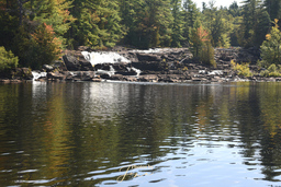 Wilson's Falls