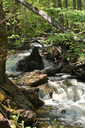 Lower Hickory Falls