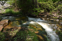 Silver Creek Falls