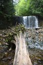 Hoggs Falls
