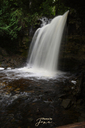 Hilton Falls