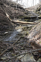 Roland Cascade