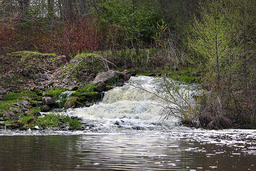 Lower Connon Falls