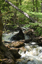 Lower Hickory Falls
