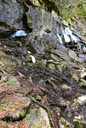 Devil's Monument Falls