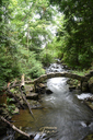 Limehouse Rapids