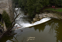 Irvine Creek Cascade