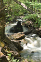 Lower Hickory Falls