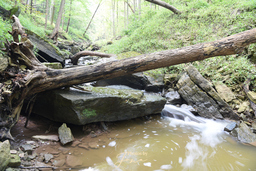 Lower Borer's Falls