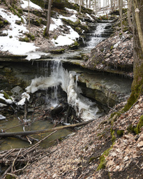 Martin's Falls