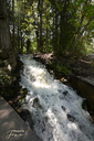 Hickory Falls
