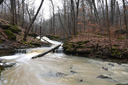 Lower Swayze Falls