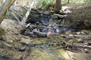 Wilson's Trail Falls