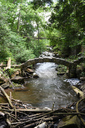 Limehouse Rapids