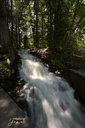 Hickory Falls
