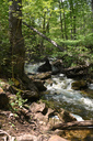 Lower Hickory Falls
