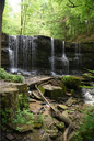 Terrace Falls