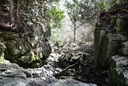 Maxwell Falls