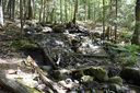 Wilson's Trail Falls