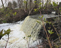 Middle Connon Falls