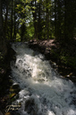 Hickory Falls