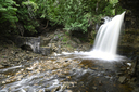 Hilton Falls