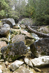 Lower Eugenia Falls