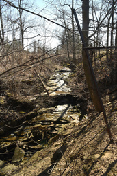 Konkle Creek Falls