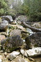 Lower Eugenia Falls