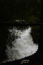 Hayward Falls
