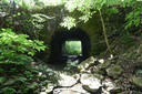 Staff Ave Tunnel