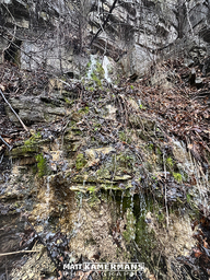 West Moss Cascade