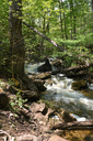 Lower Hickory Falls